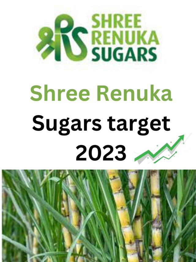 Shree Renuka Sugars share peice target 2023